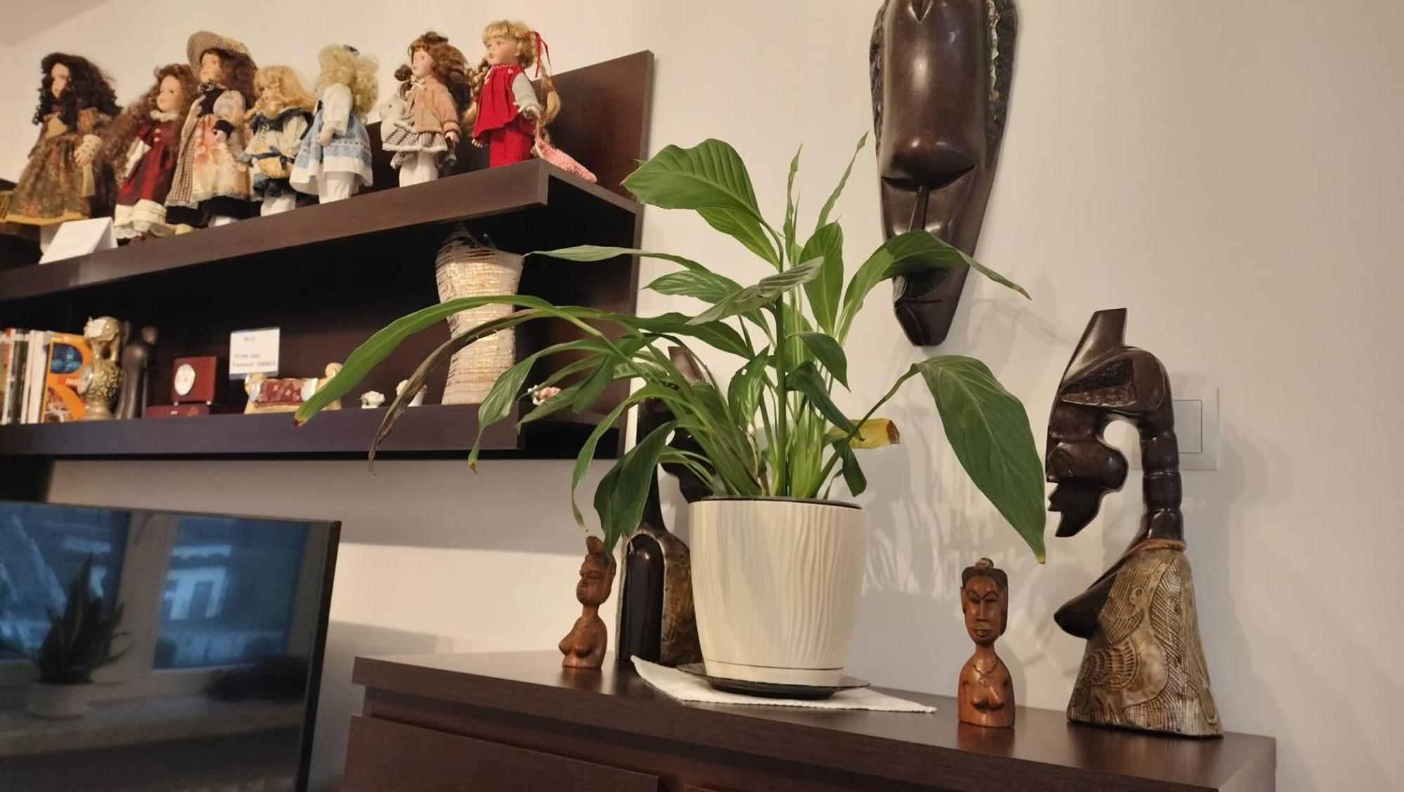 Apartament Nad Fontanna Rzeszów Kamer foto